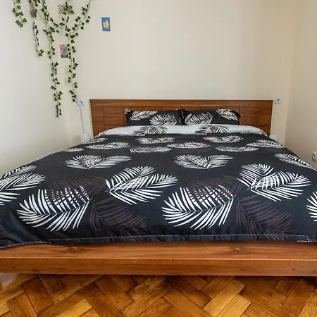 Supreme Deer * Brašov