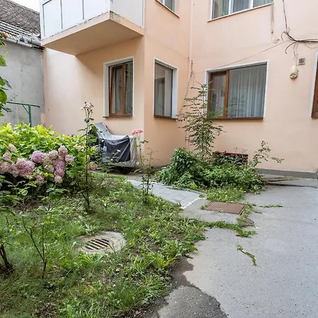 Supreme Deer Brašov