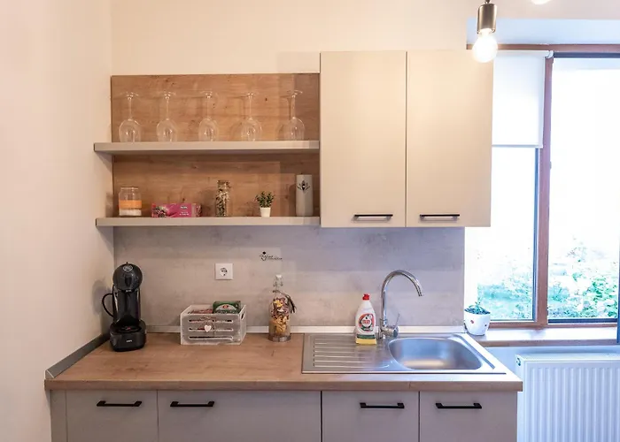 Apartmán Supreme Deer Brašov