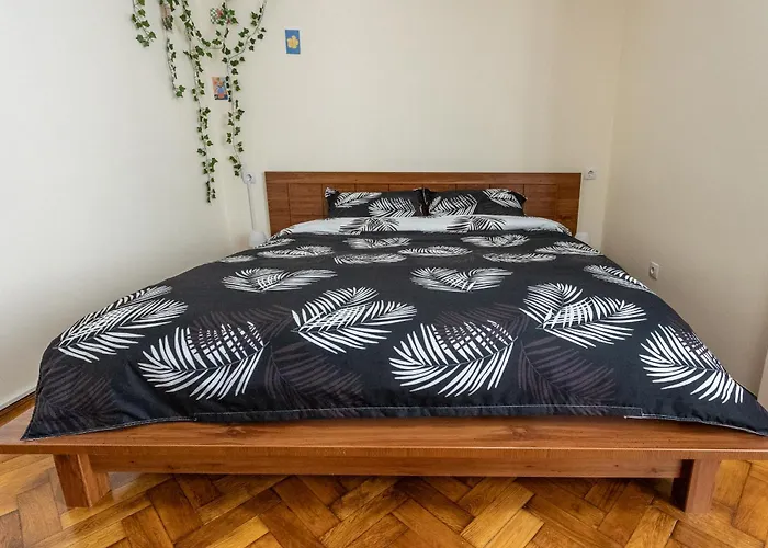 Supreme Deer * Braşov