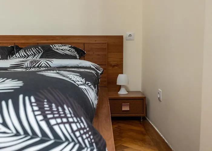 公寓 Supreme Deer 布拉索夫