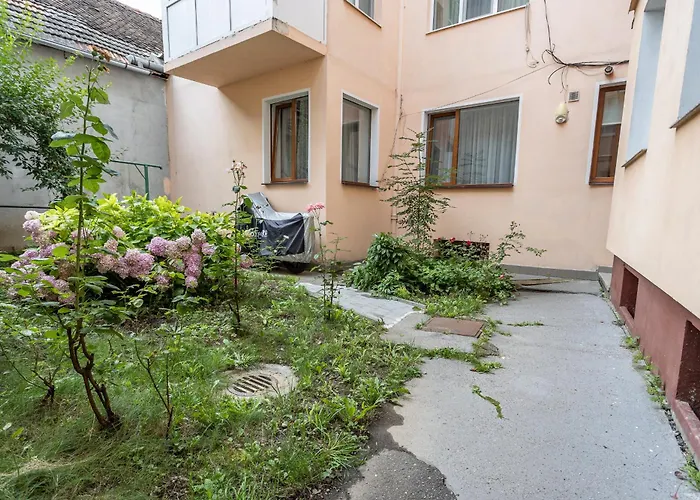 Supreme Deer 布拉索夫